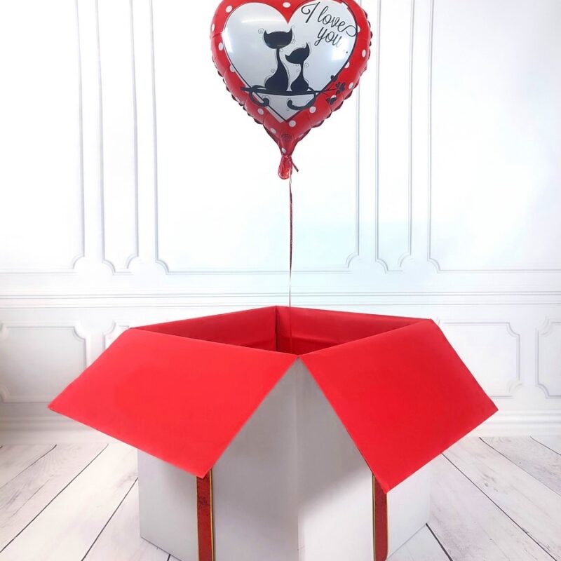 Box-z-balonem-w-ksztalcie-serca-kotki-z-napisem-I-Love-You