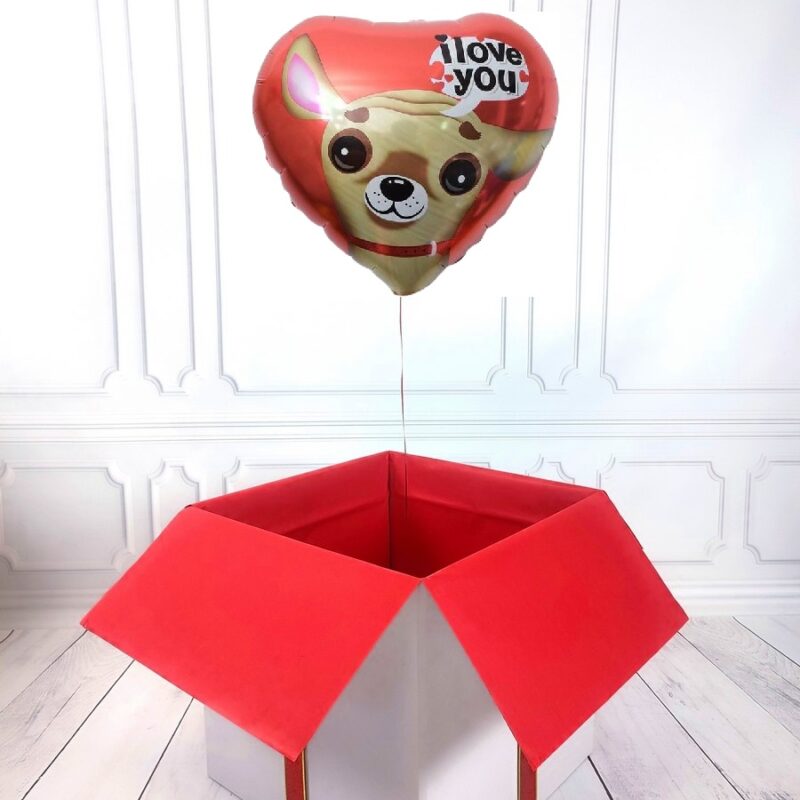 Box z balonem w kształcie serca - piesek z napisem I Love You