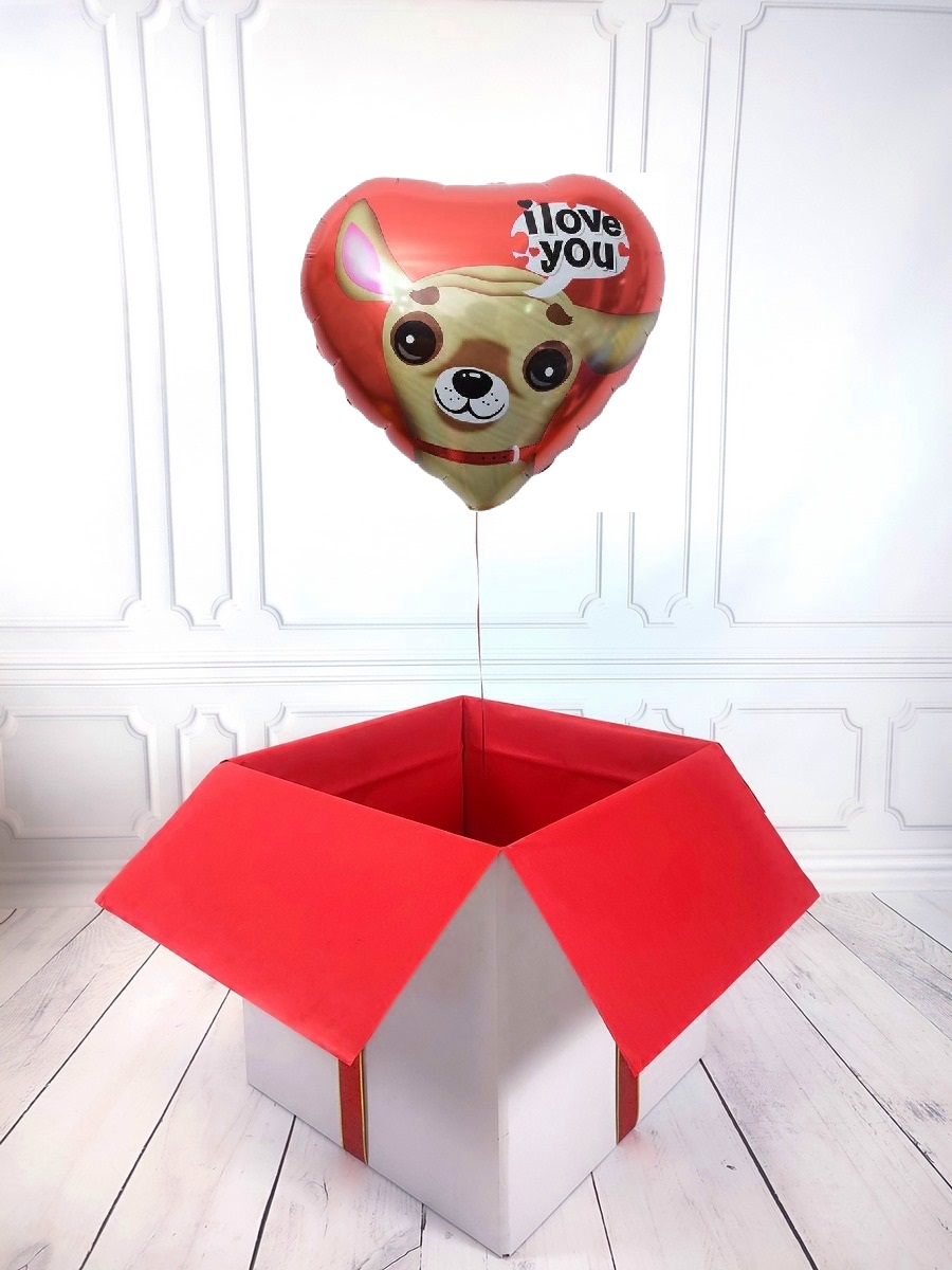 Box z balonem w kształcie serca - piesek z napisem I Love You