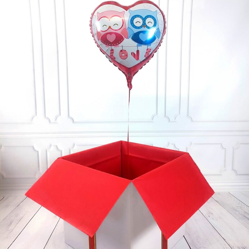 Box-z-balonem-w-ksztalcie-serca-–-sowy